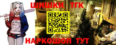 гидра Дубна