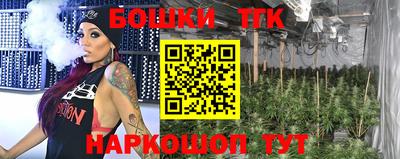 гидра Дубна