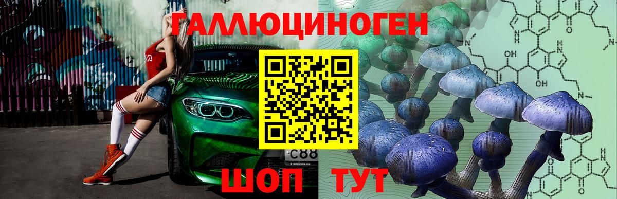 дарнет шоп  Псилоцибиновые грибы мухоморы  Вход с VPN  Заринск  Псилоцибиновые грибы MAGIC MUSHROOMS 