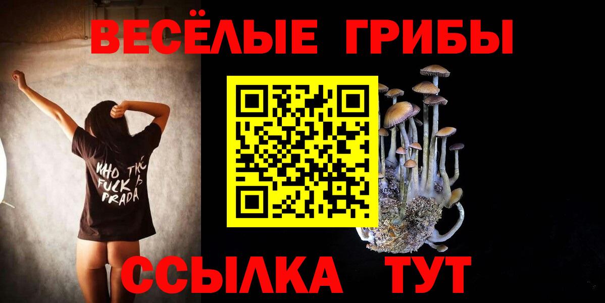 Галлюциногенные грибы мицелий Заринск